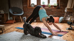 Comment garder votre corps et votre esprit actifs de chez vous