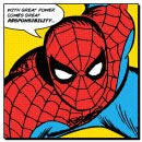 Spider-Man Quote Canvas (40x40)