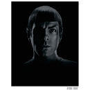 Star Trek Fine Art Print - Spock - A New Breed