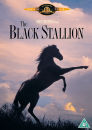 The Black Stallion