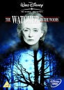 The Watcher In The Woods