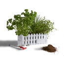 Desktop Herb Garden