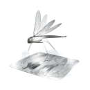 Touch of Ginger: X-Bug Dragonfly