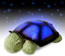Twilight Turtle