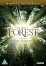 Once Upon a Forest