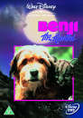 Benji The Hunted
