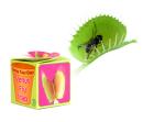Grow your own Venus Fly Trap