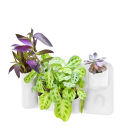 Urbio Happy Family Planter