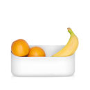 Urbio Wide Mouth Planter