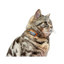 G-Paws Pet GPS Tracker System - Black