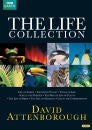 David Attenborough: The Life Collection (Repack)