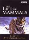 The Life Of Mammals