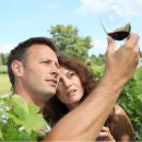 Wine Tasting with Lunch for Two