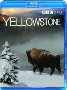 Yellowstone - Tales From The Wild