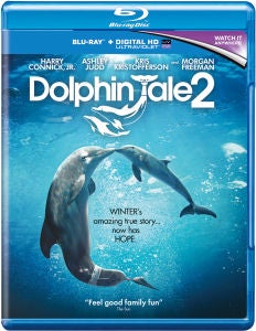 Dolphin Tale 2