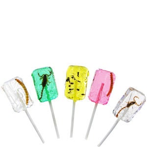 Loathsome Lickables Insect Lollies (Pack of 5)