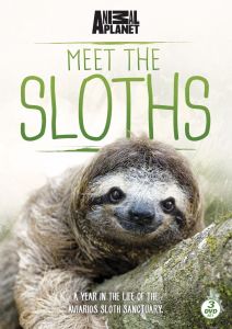 Meet the Sloths