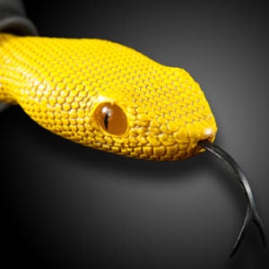 Quarkie Earphones - Viper Head Yellow