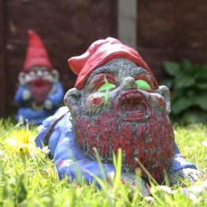 Zombie Gnome Crawler
