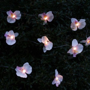 Orchid Solar String Light - Warm White