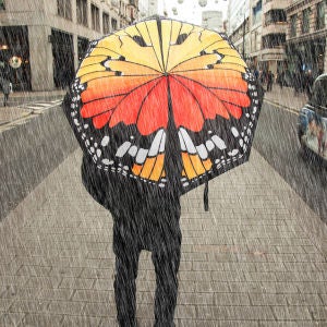Butterfly Umbrella