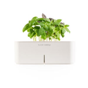 Click & Grow Starter Kit with Basil