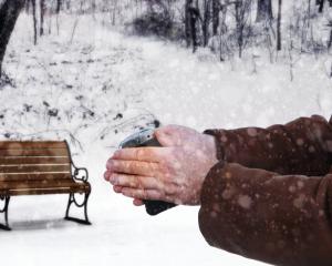 Zippo Hand Warmer