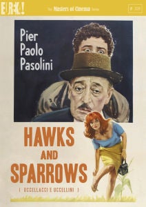 Hawks and Sparrows