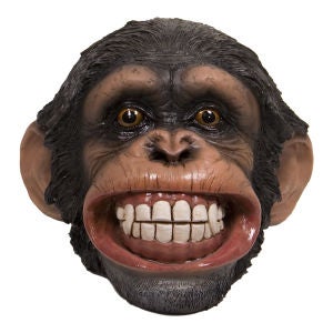 Smiling Chimp Bank