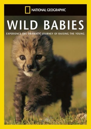 National Geographic: Wild Babies