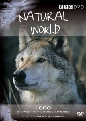 Natural World - Lobo: The Wolf That Changed America