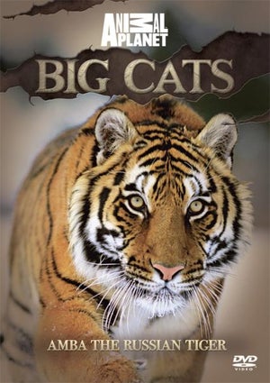 Discovery Channel - Big Cats Amba The Russian Tiger