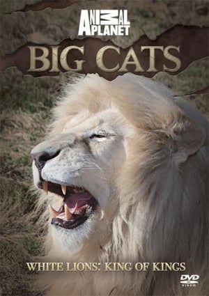 Discovery Channel - Big Cats White Lions King of Kings