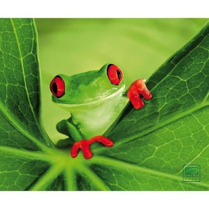 SPEEDLINK Silk Mousepad - Frog