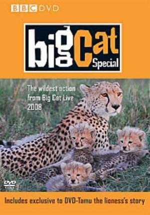 Big Cat Diary - The Special