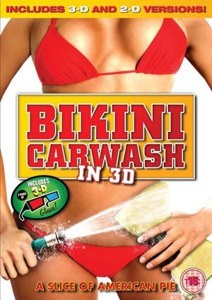 Bikini Car Wash - 3D