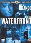 On The Waterfront