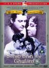 Sahib Biwi Aur Ghulam