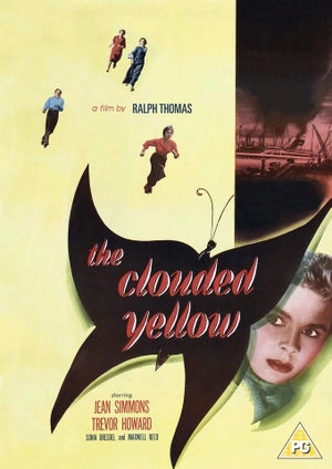 Clouded Yellow