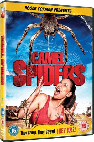 Camel Spiders