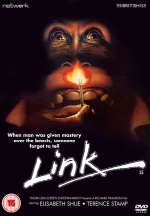 Link