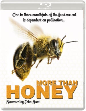 More Than Honey