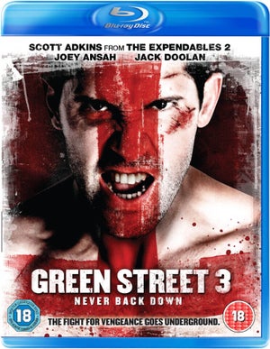 Green Street 3