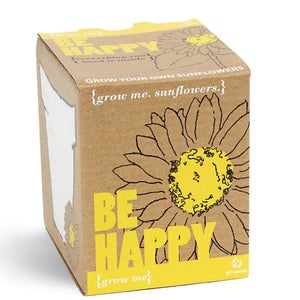 Girasoles para Plantar "Sé feliz"
