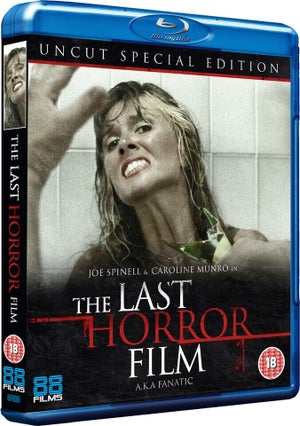 The Last Horror Film