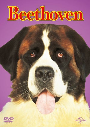 Beethoven - Big Face Edition