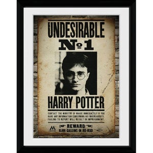 Harry Potter Undesirable No 1 - 30x40 Collector Prints