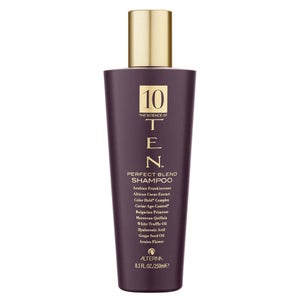 Alterna Ten Perfect Blend Shampoo (250ml)