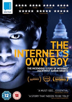 The Internet's Own Boy