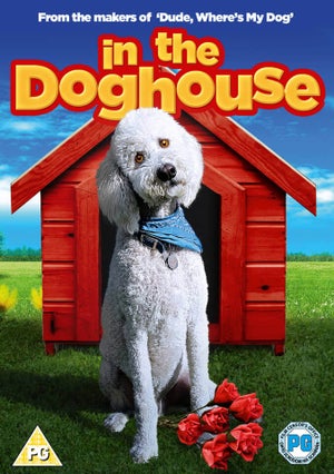 In The Doghouse